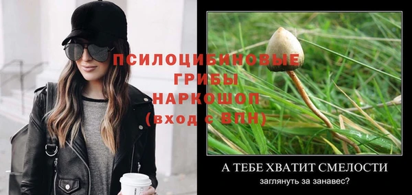 ешки Алексеевка
