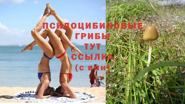 ешки Алексеевка