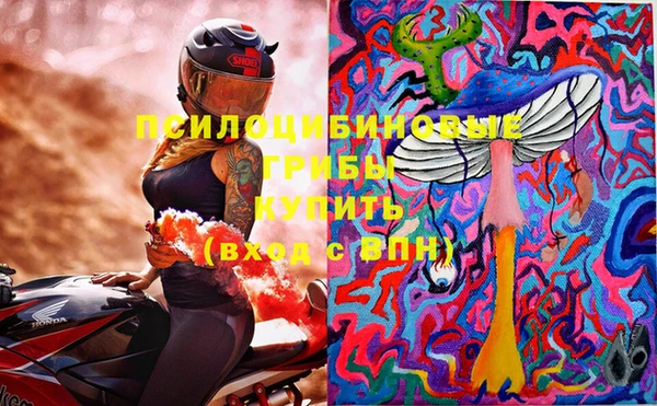бошки Абдулино