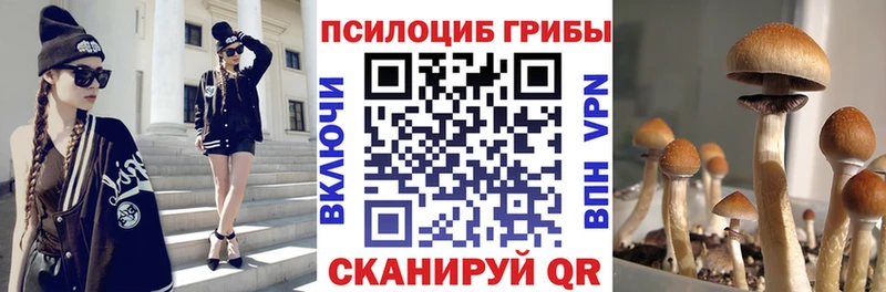 купить  сайты  Мостовской  Псилоцибиновые грибы ЛСД 